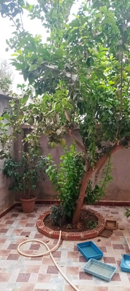 Vente Villa Alger Douera