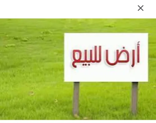 Vente Terrain Chlef Abou el hassan