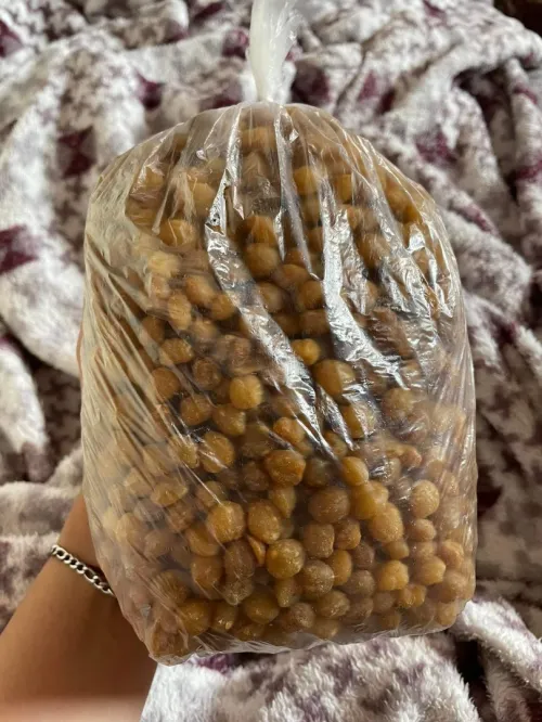 بذور الاكبي  Graine d'akpi 