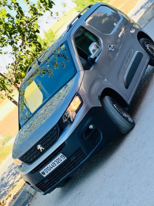 Peugeot Partner K9 2020 