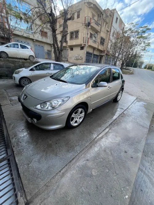 Peugeot 307 2003 XT