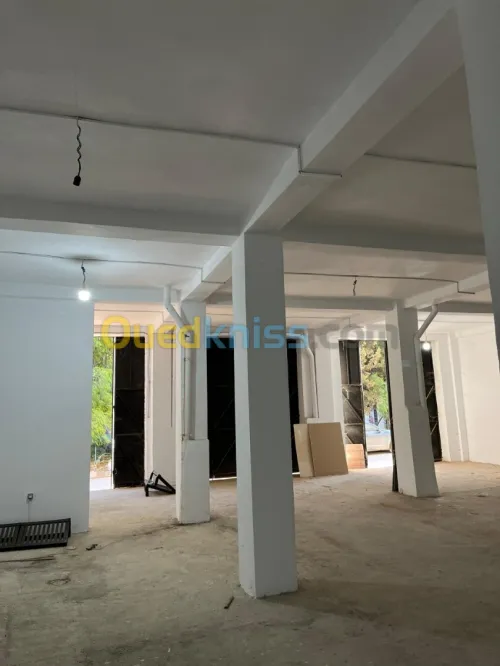 Location Local Alger Draria