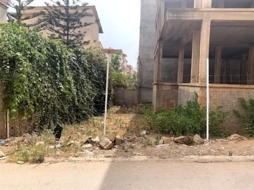 Vente Terrain Alger Zeralda
