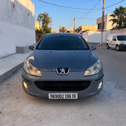 Peugeot 407 2006 Toute option