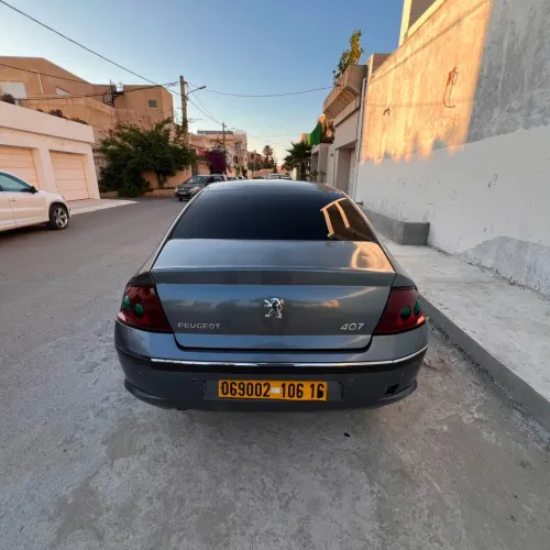 Peugeot 407 2006 Toute option