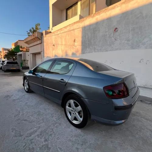 Peugeot 407 2006 Toute option