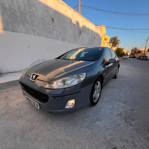 Peugeot 407 2006 Toute option