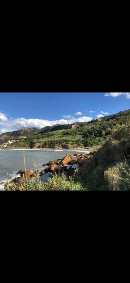 Vente Terrain Tipaza Larhat