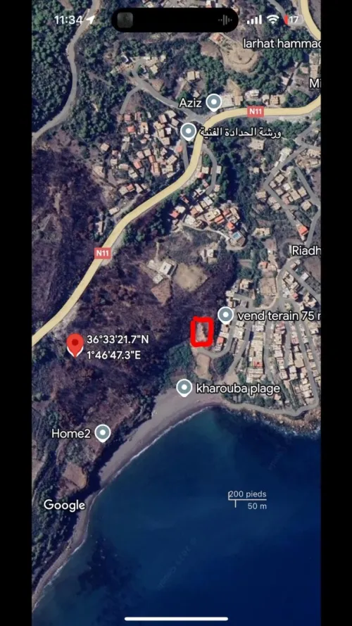 Vente Terrain Tipaza Larhat