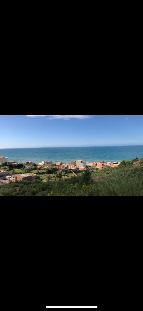 Vente Terrain Tipaza Larhat