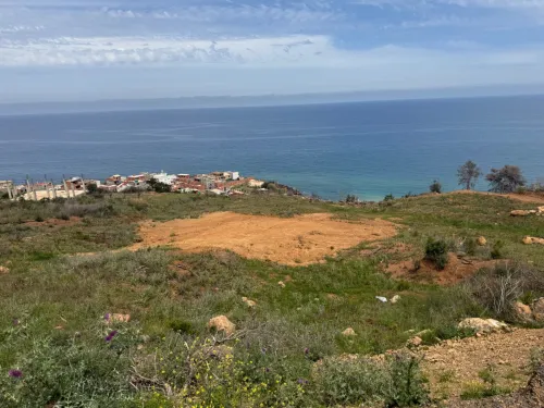 Vente Terrain Tipaza Larhat
