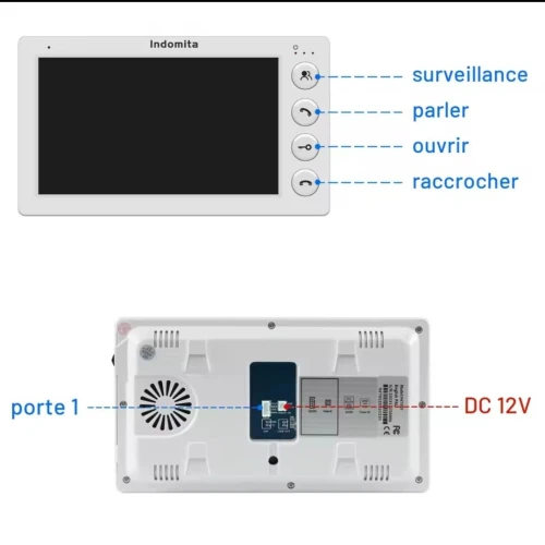 Visiophone indomita 