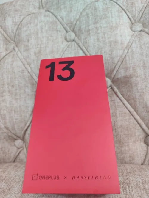 OnePlus 13 "