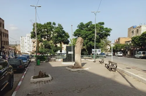 Vente Terrain Alger El achour