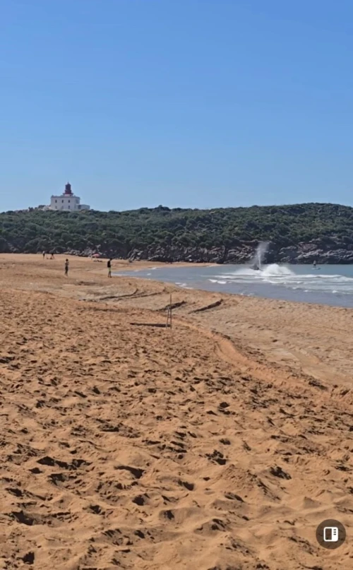 Vente Terrain Jijel Jijel 14