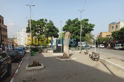 Vente Terrain Alger El achour