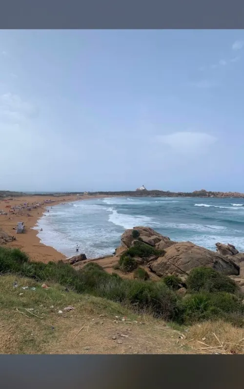 Vente Terrain Jijel Jijel
