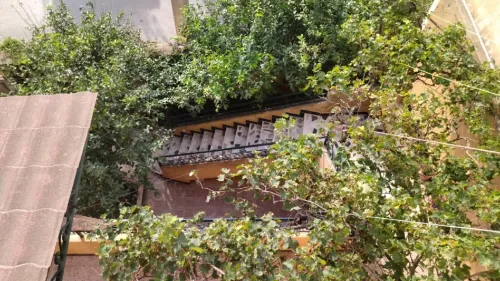 Vente Villa Blida Blida