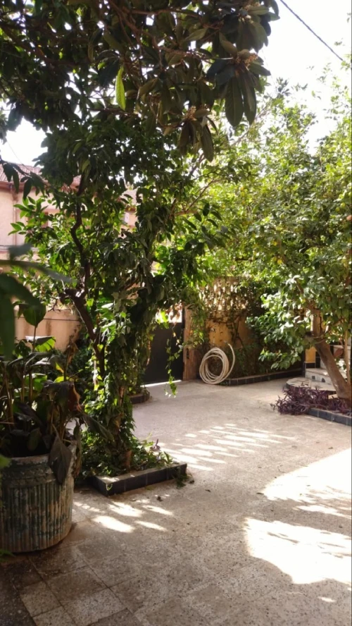 Vente Villa Blida Blida
