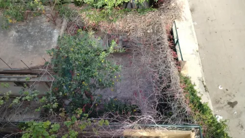 Vente Villa Blida Blida
