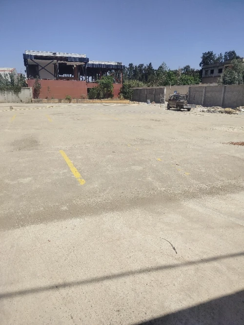 Location Hangar Alger Les eucalyptus