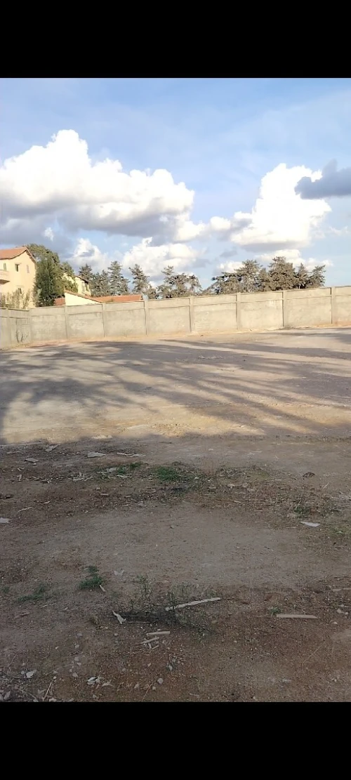 Vente Terrain Alger Souidania