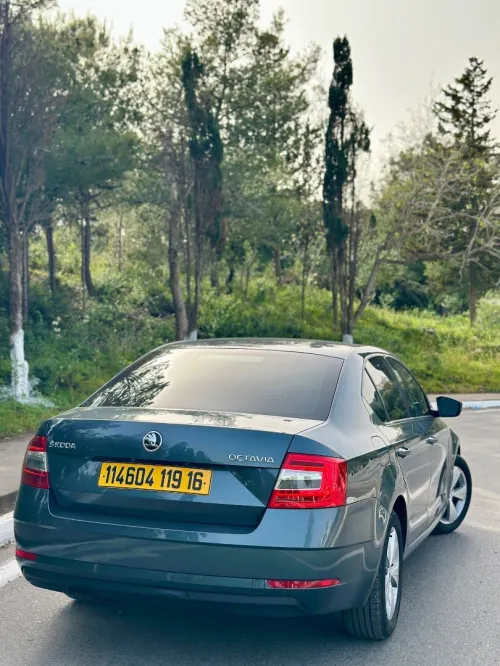 Skoda Octavia 2019 Business