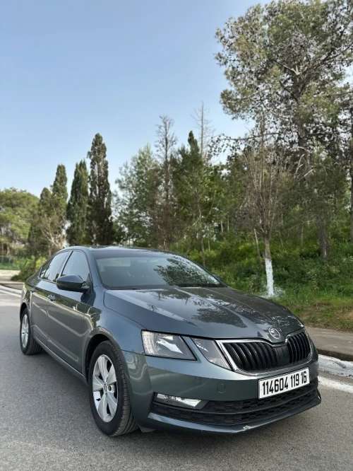 Skoda Octavia 2019 Business