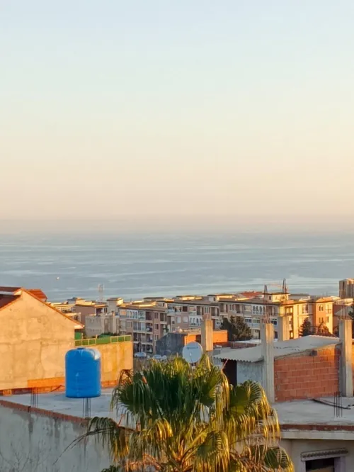 Vente Appartement Niveau de villa F3 Tipaza Khemisti