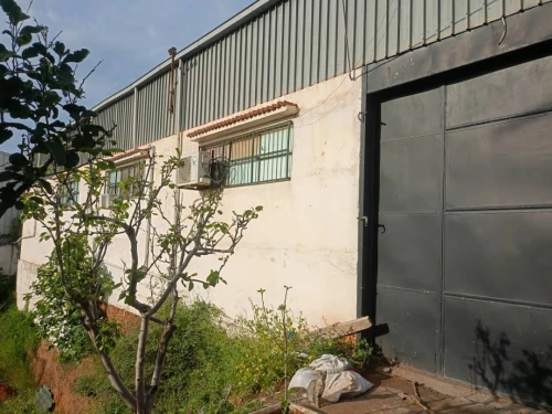 Location Hangar - Usine Tipaza Bou ismail 2
