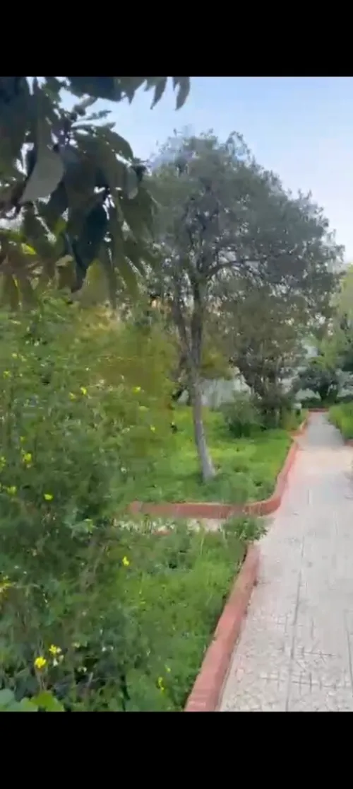 Vente Villa Alger El biar