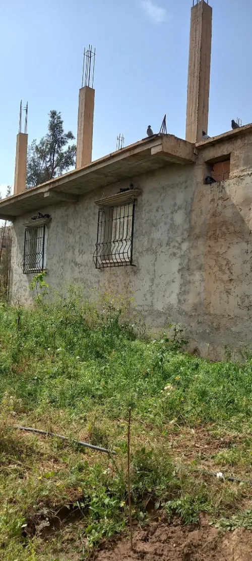 Vente Appartement Aïn Defla Bordj emir khaled chikh