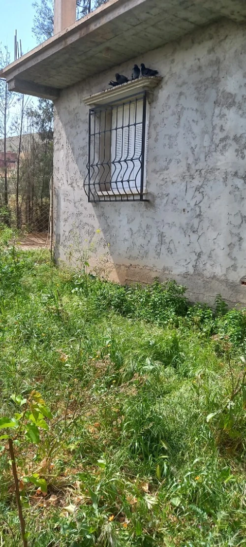 Location Appartement Niveau de villa F4 Aïn Defla Bordj emir khaled chikh