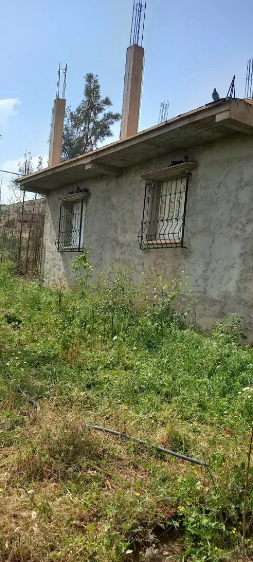 Vente Appartement Aïn Defla Bordj emir khaled chikh