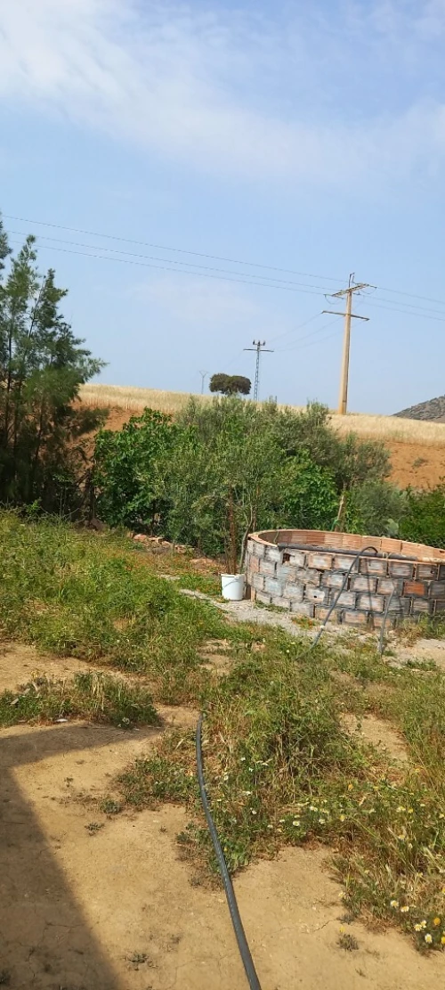 Location Appartement Niveau de villa F4 Aïn Defla Bordj emir khaled chikh
