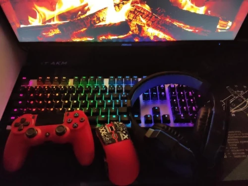 Pc gamer