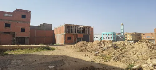 Vente Terrain Naâma Mecheria