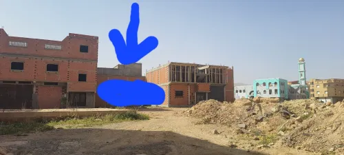 Vente Terrain Naâma Mecheria