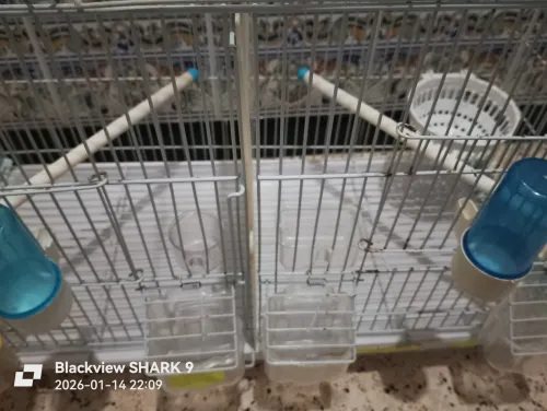 Cages de séparation importation