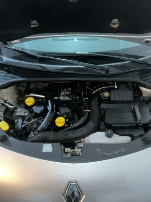 Renault Clio 3 2011 Night and Day