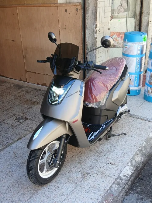 Vms Gemma 2026