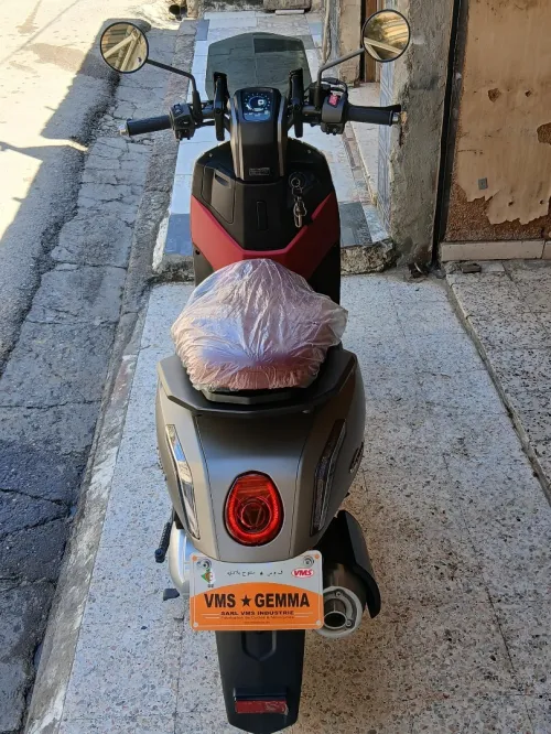 Vms Gemma 2026