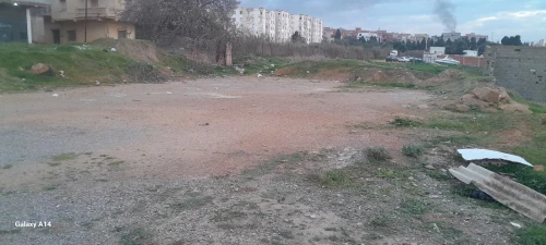 Vente Terrain Tipaza Bou ismail