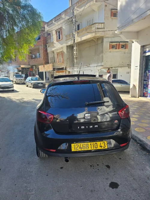 Seat Ibiza 2010 Loca