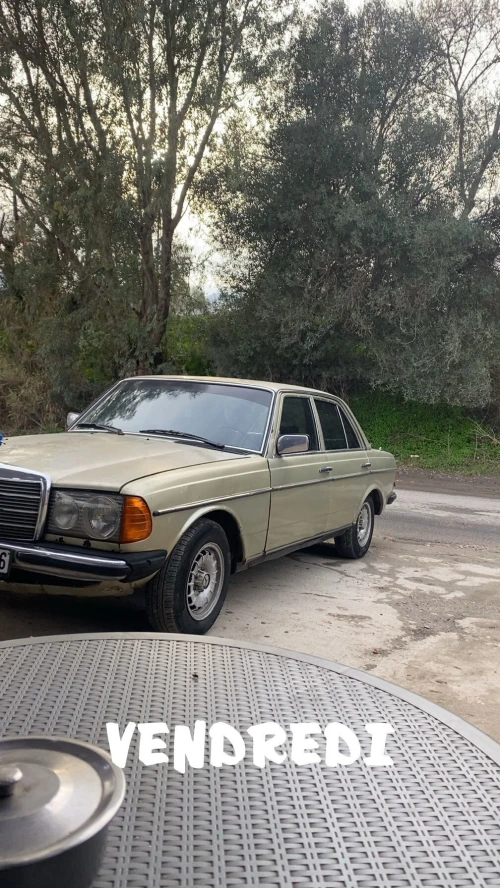 Mercedes W123 1980 300d