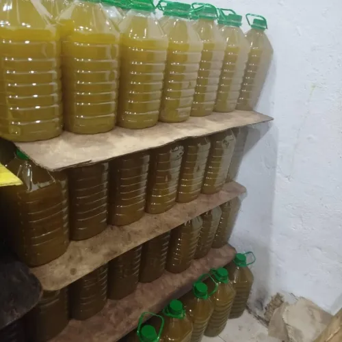 زيت الزيتون