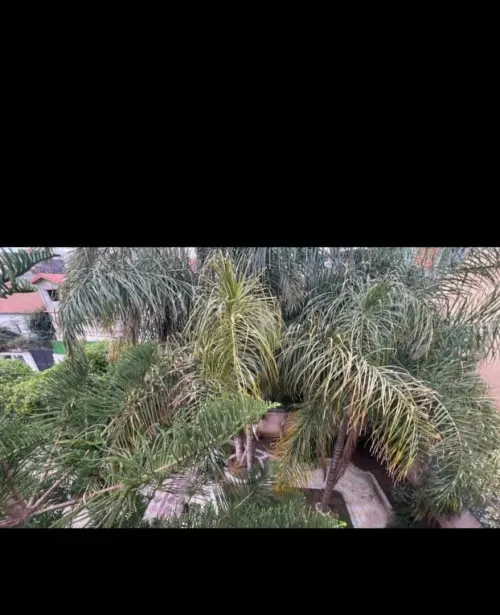 Vente Villa Alger Bordj el bahri