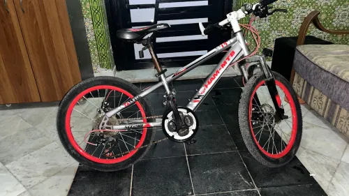 Vèlo ham mtb 20