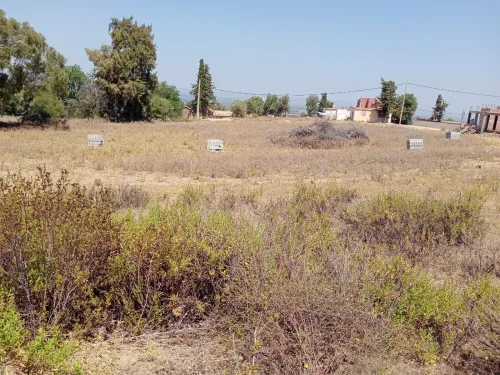 Vente Terrain Blida Ain romana