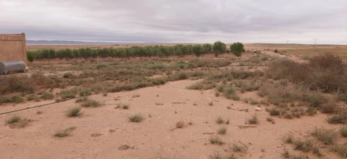 Vente Terrain Agricole Djelfa Hassi bahbah